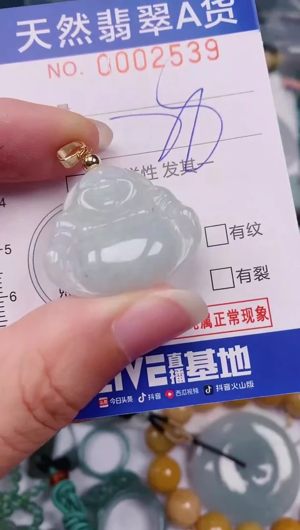 颈饰未镶嵌翡翠00002539