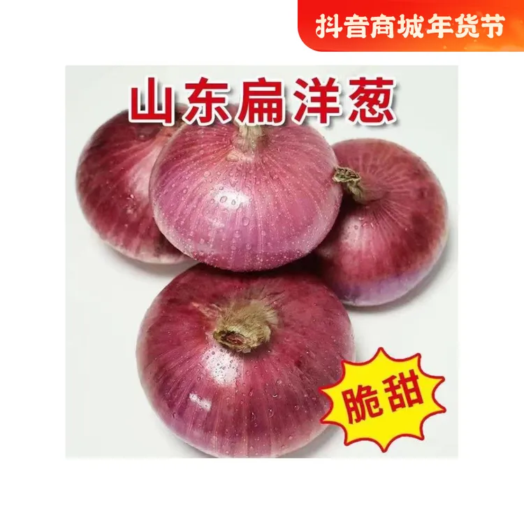 洋葱新鲜10斤水果洋葱甜味生吃山东紫皮红皮扁洋葱生吃甜圆葱蔬菜