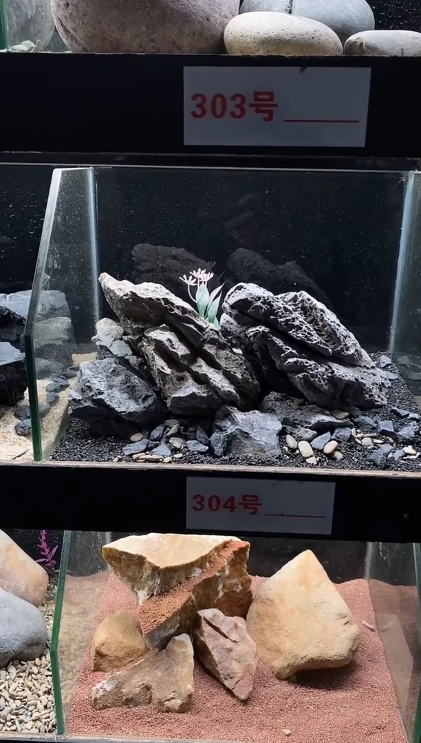304号鱼缸造景（不含底砂）