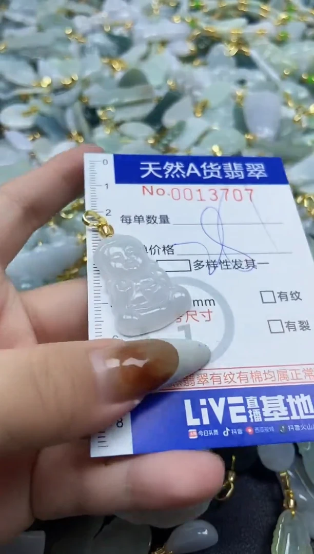 【闪购商品】翡翠颈饰未镶嵌天然A货翡翠