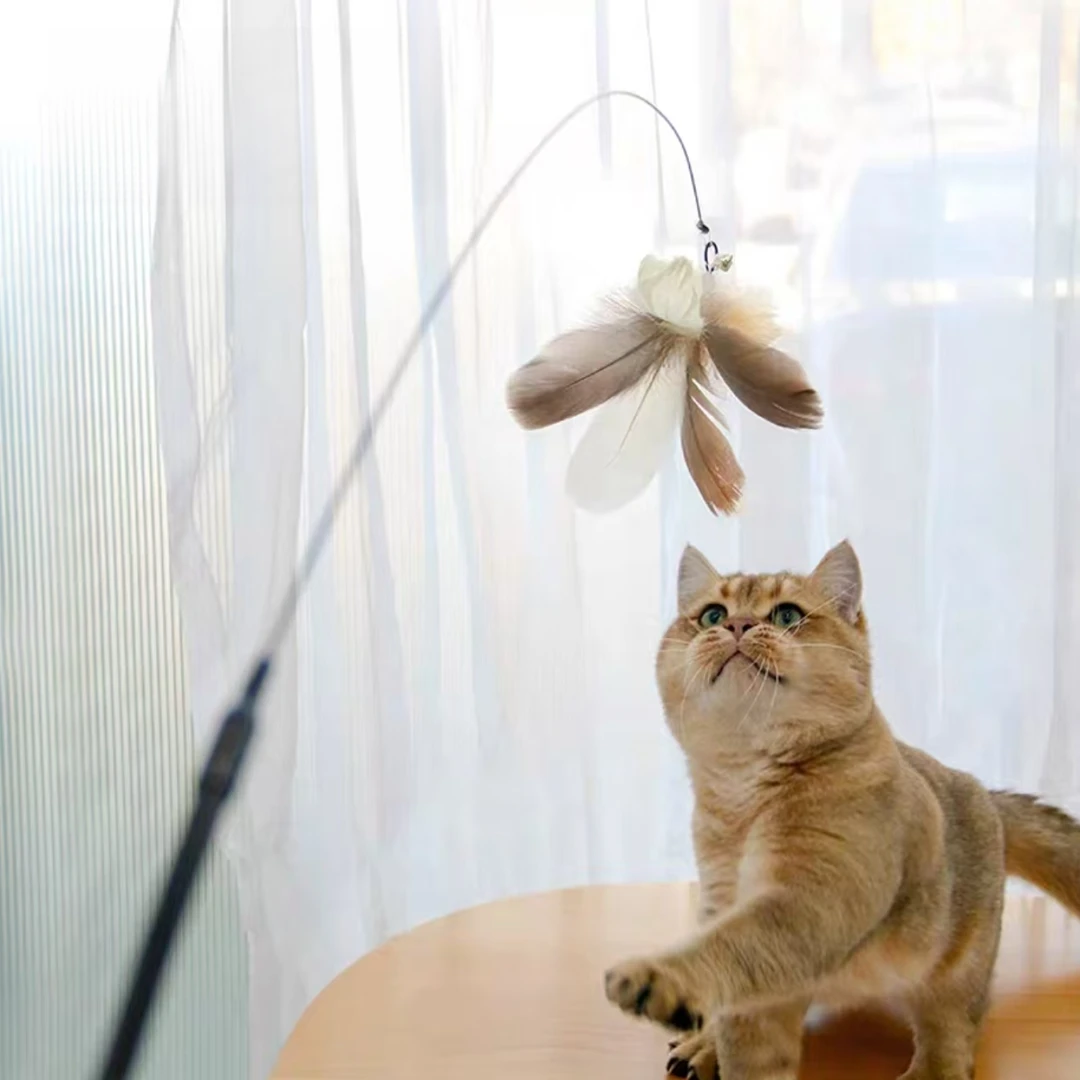 史默生原生羽毛猫咪互动玩具逗猫棒养猫必备好物