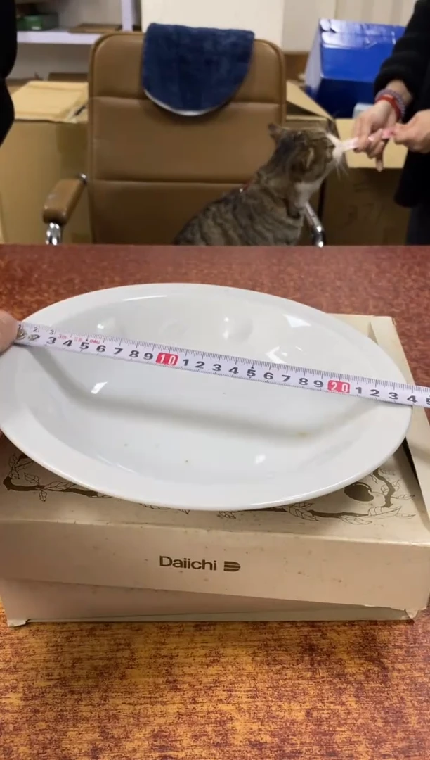 瓷片600小林轩欢迎您