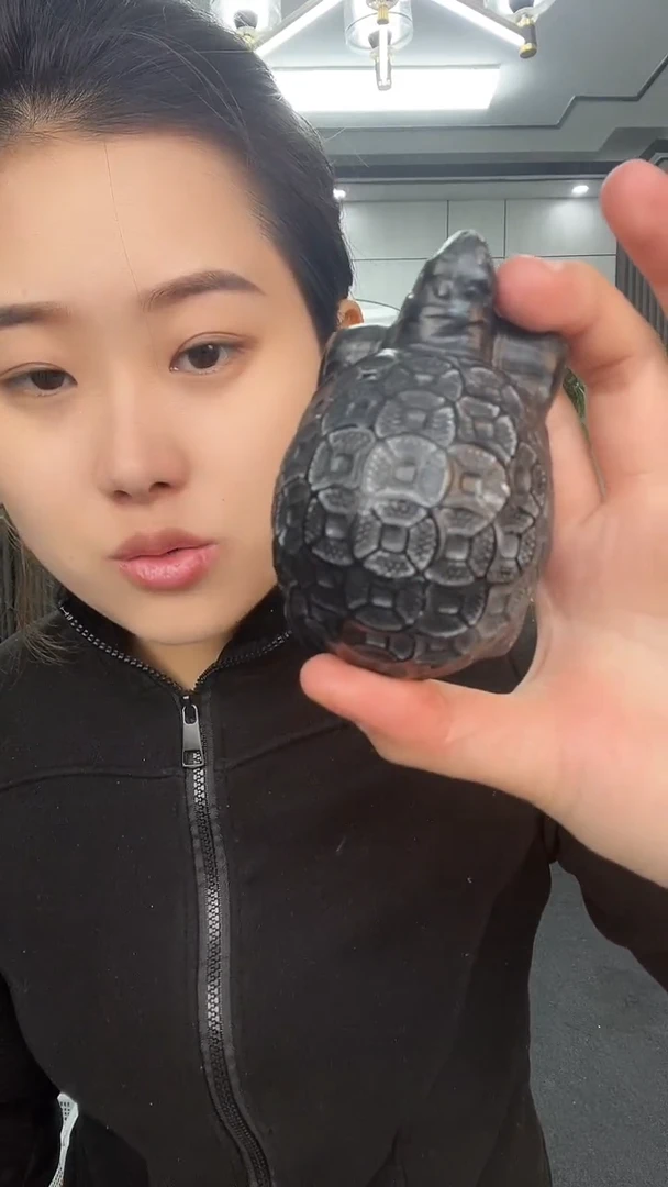 金钱龟手把多样性发货一