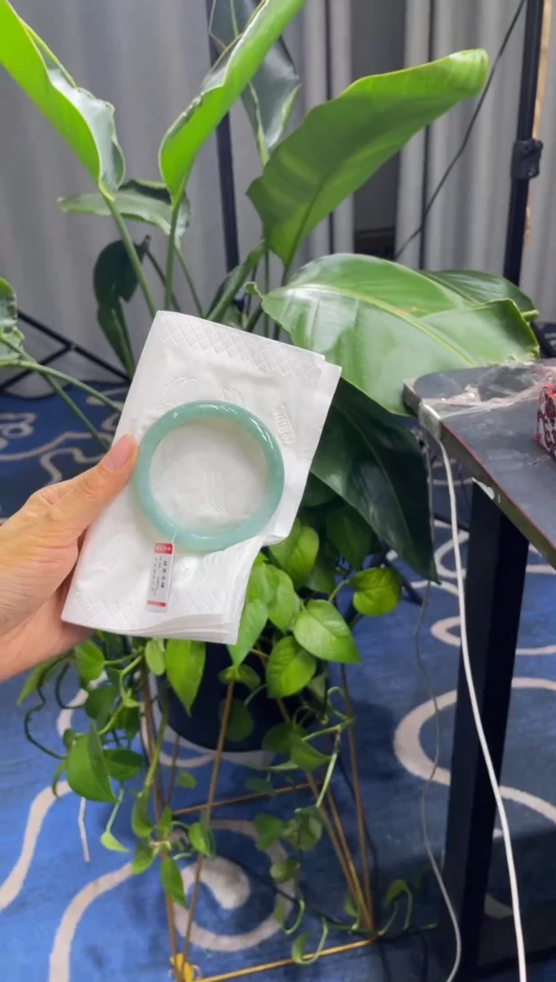 未镶嵌手镯翡翠4924