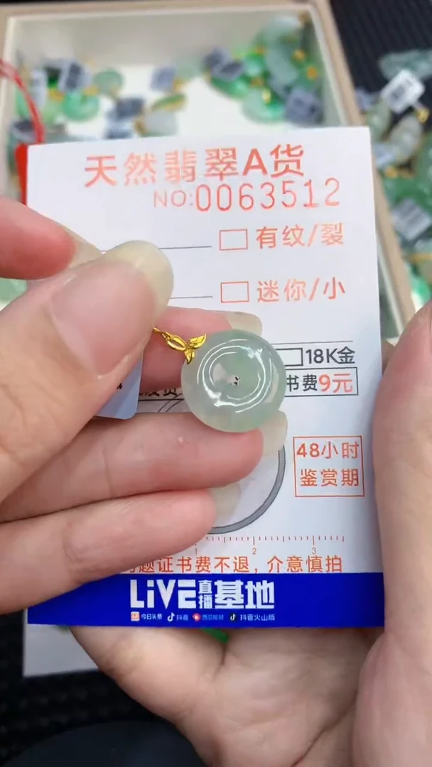 【闪购商品】翡翠颈饰18K金镶嵌           8