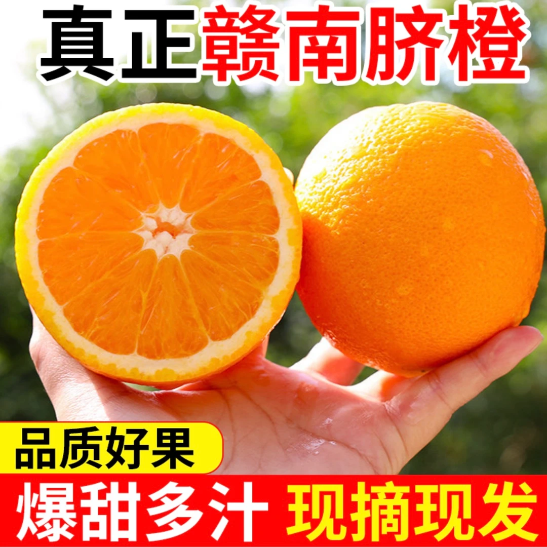 正宗赣南脐橙新鲜现摘香甜多汁产地直发