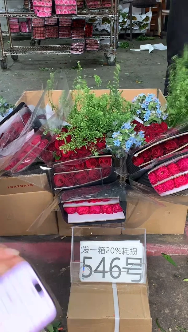 546号♥含20%耗损发一箱