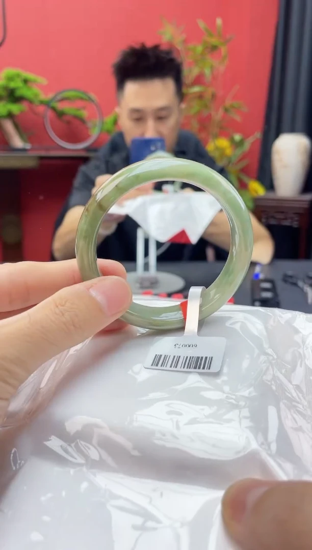 未镶嵌手镯翡翠4