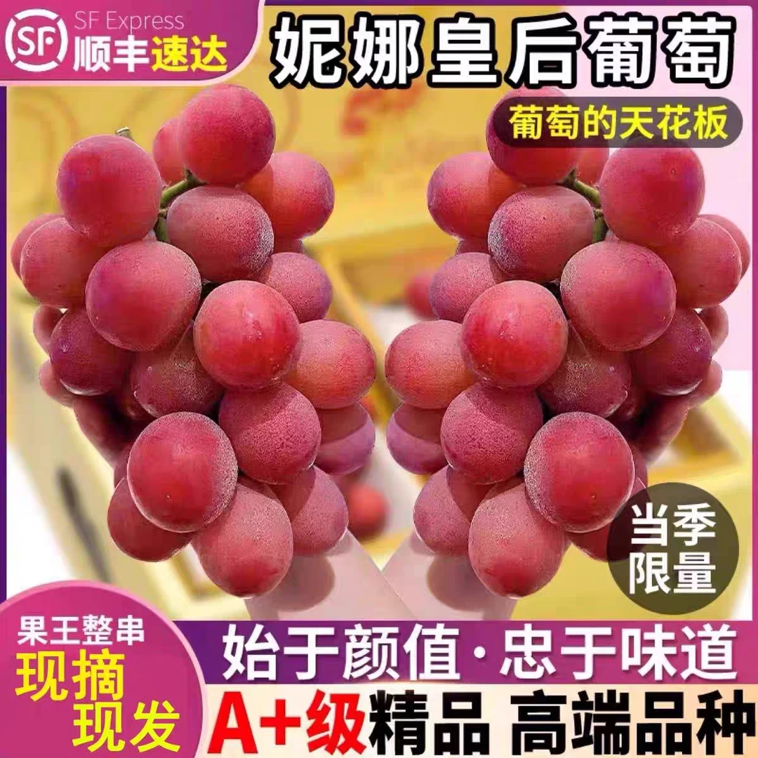 正宗特级妮娜皇后葡萄当季新鲜现摘红宝石大果红提顺丰包邮红提子
