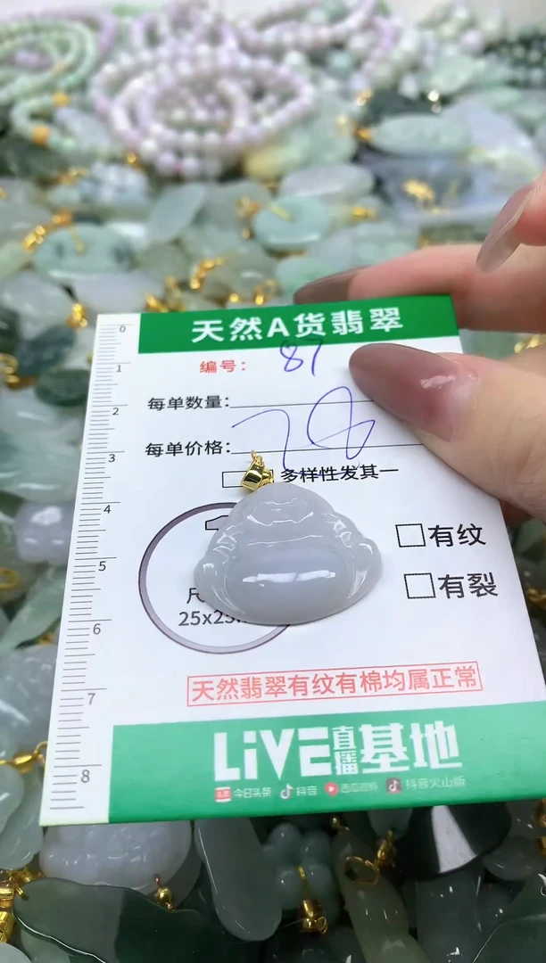 颈饰未镶嵌翡翠纯天然缅甸A货翡翠-87
