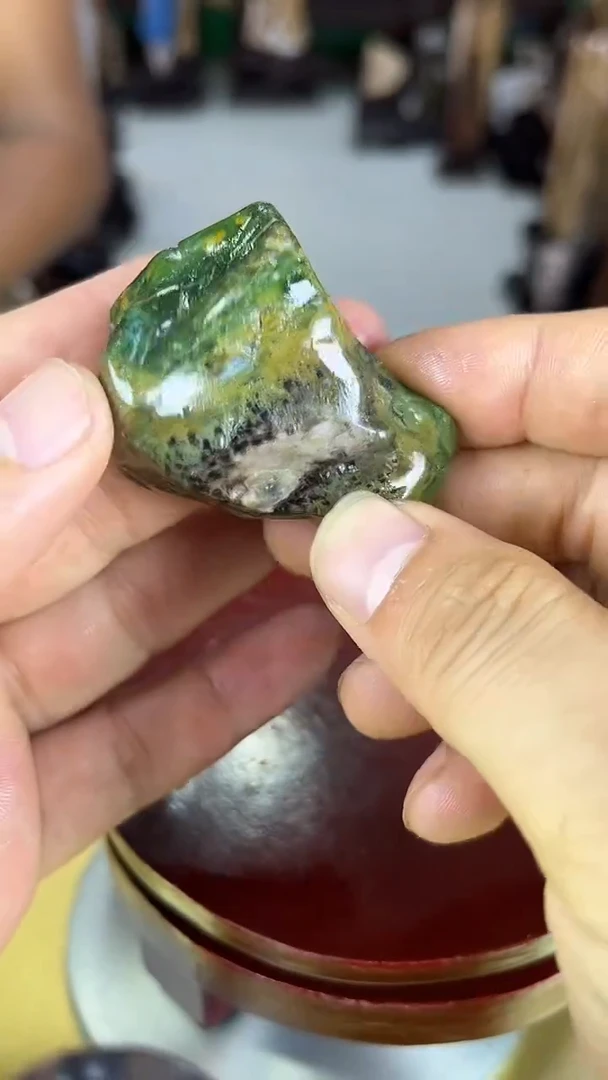 未镶嵌珠宝奇石硅化玉缅甸天然树化玉手把件