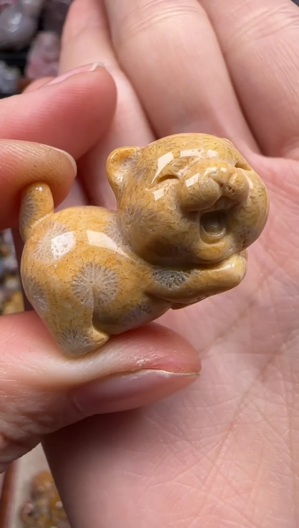 【闪购商品】硅化珊瑚（珊瑚玉）颈饰未镶嵌237