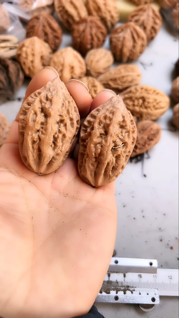 核桃东北野生大秋子2