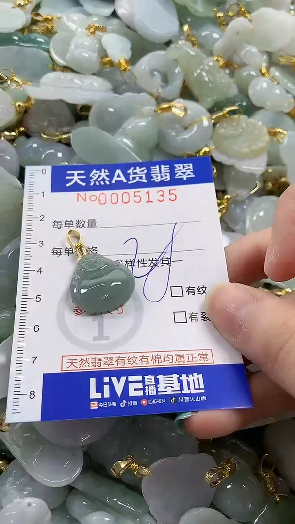 颈饰未镶嵌翡翠纯天然货翡翠