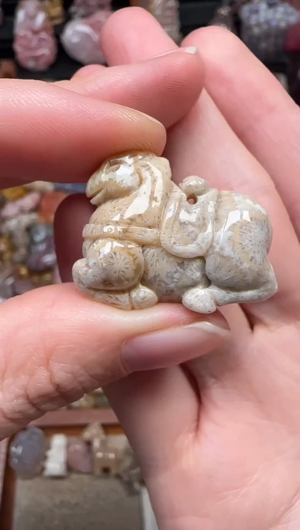 颈饰未镶嵌硅化珊瑚（珊瑚玉）389