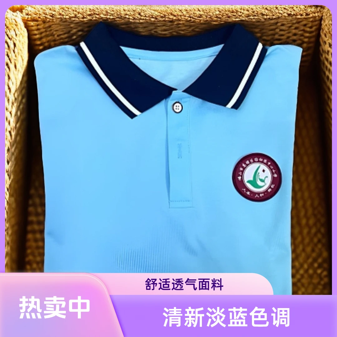 杨和镇小学夏衣（杨和小学/杨梅小学/沙水小学/石水小学）备注校徽