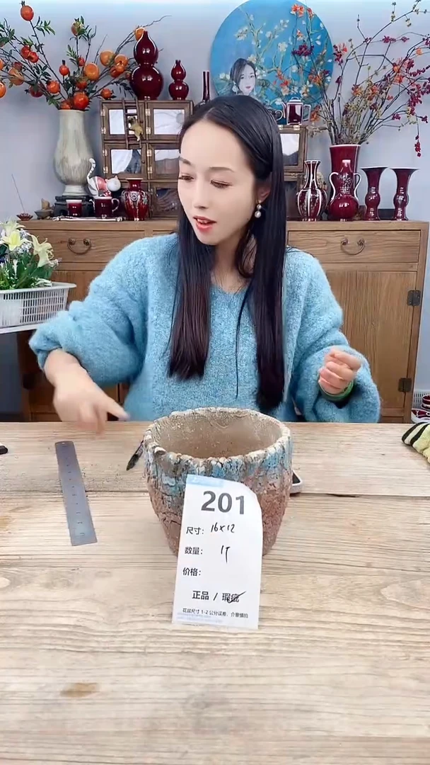 【闪购商品】红陶201