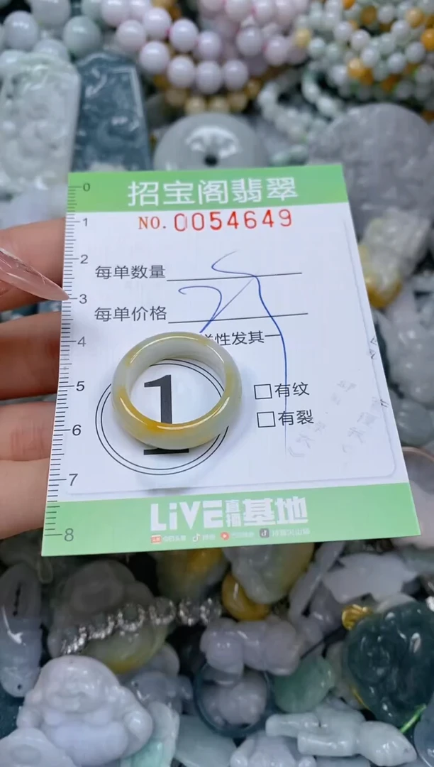 【闪购商品】翡翠颈饰未镶嵌闪购商品0054649