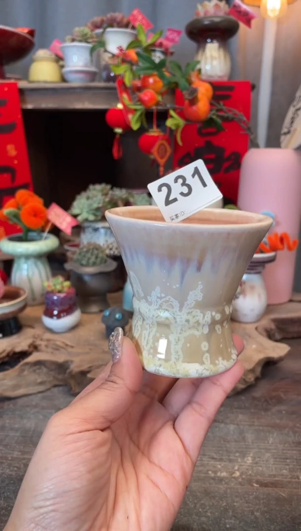 【闪购商品】摆件231知木小芳花盆