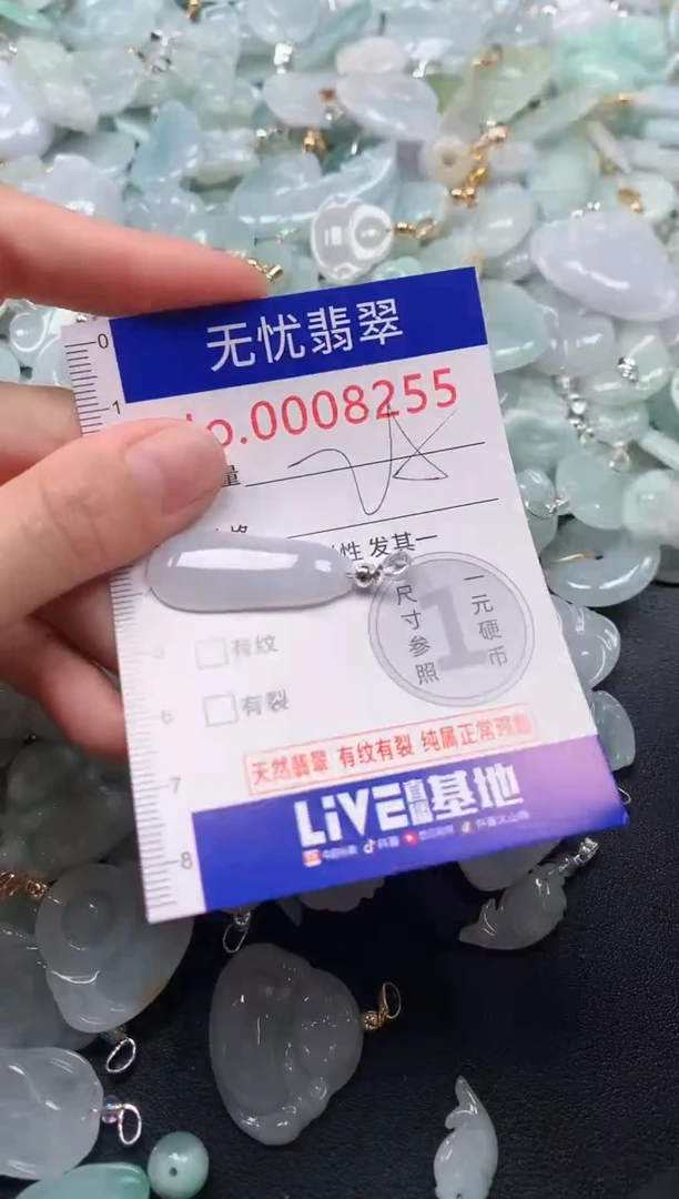 颈饰未镶嵌翡翠8255