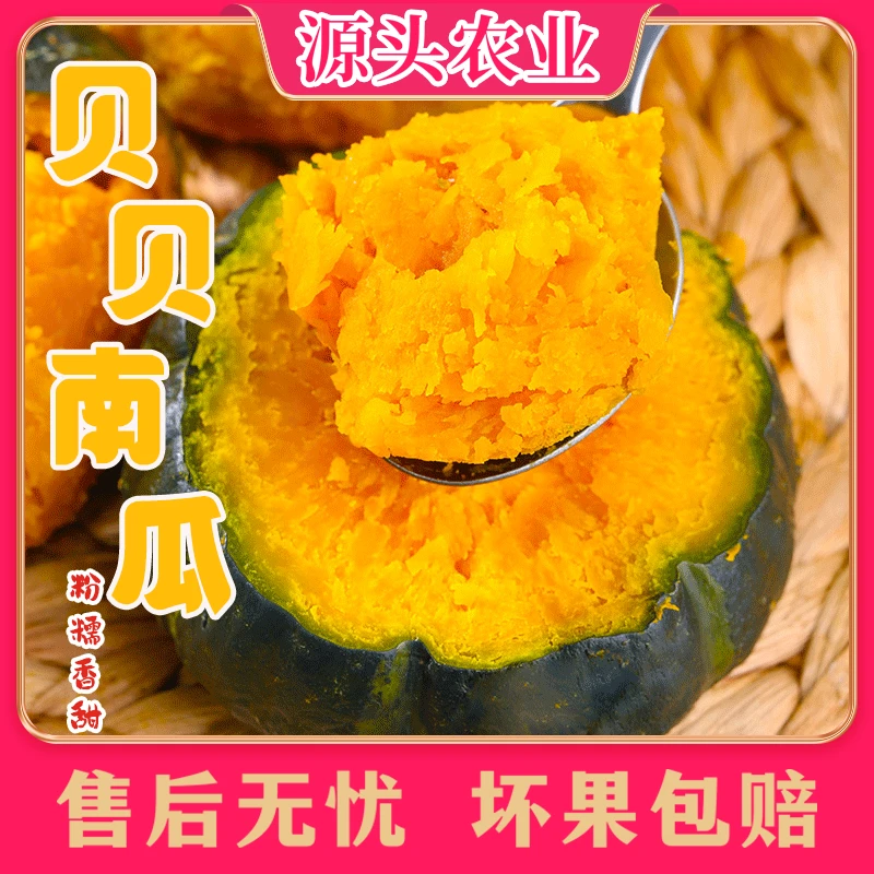【不粉包赔】贝贝南瓜粉糯香甜板栗味4.5斤 S