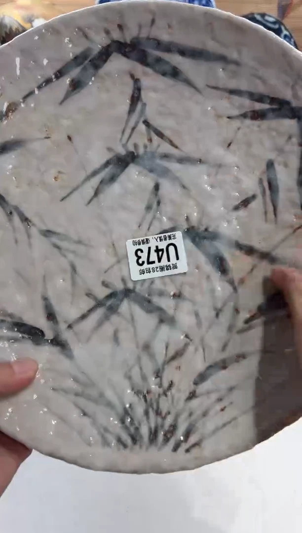 瓷片最**虫     U473