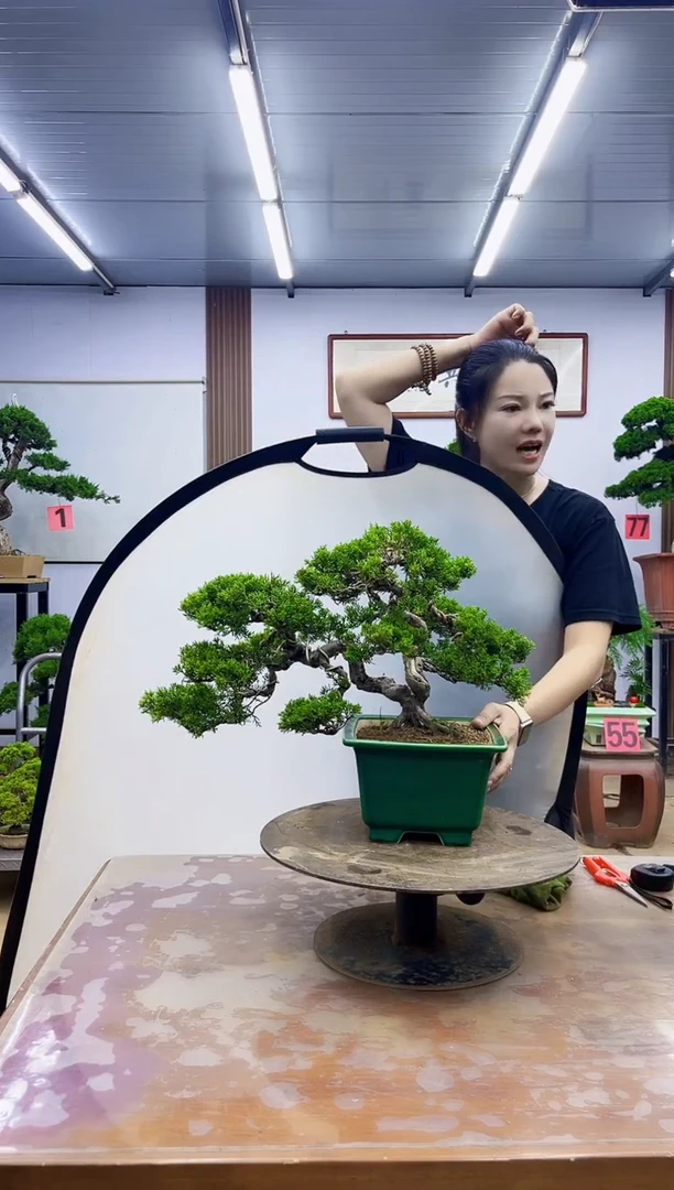 无花朵用****3000000000