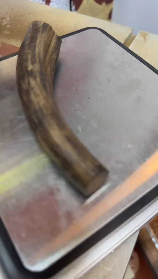 沉香吊坠26号文莱多样性发一