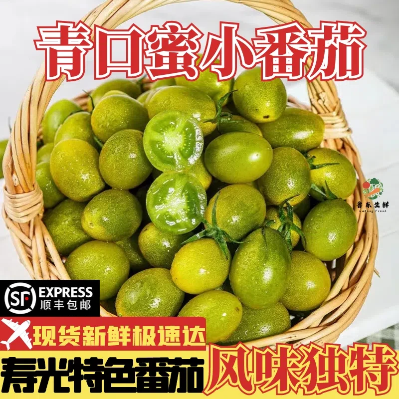 【特色番茄】青口蜜小番茄绿色圣女果千禧寿光贼不偷小柿子自然熟