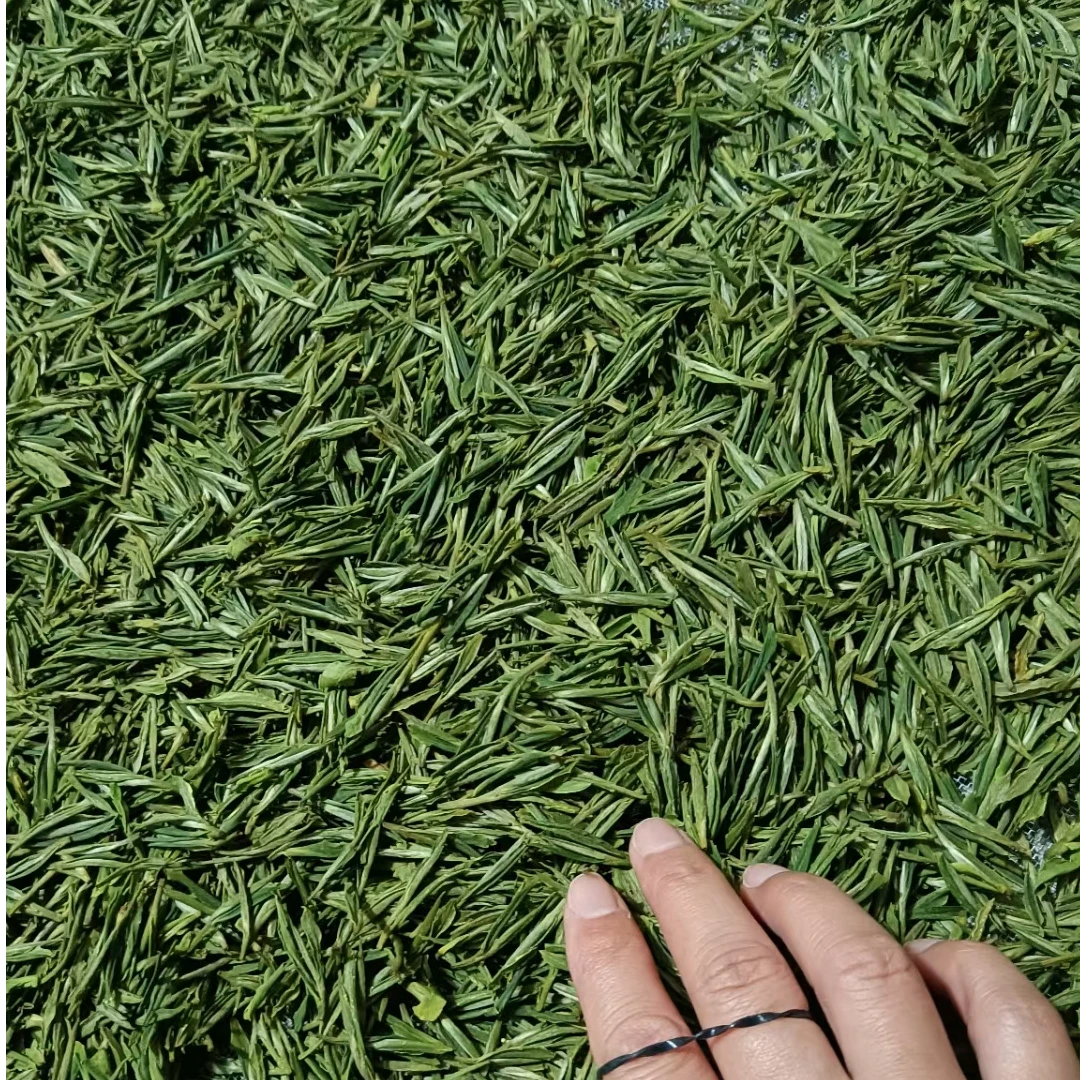 2025年明前新茶九华毛峰