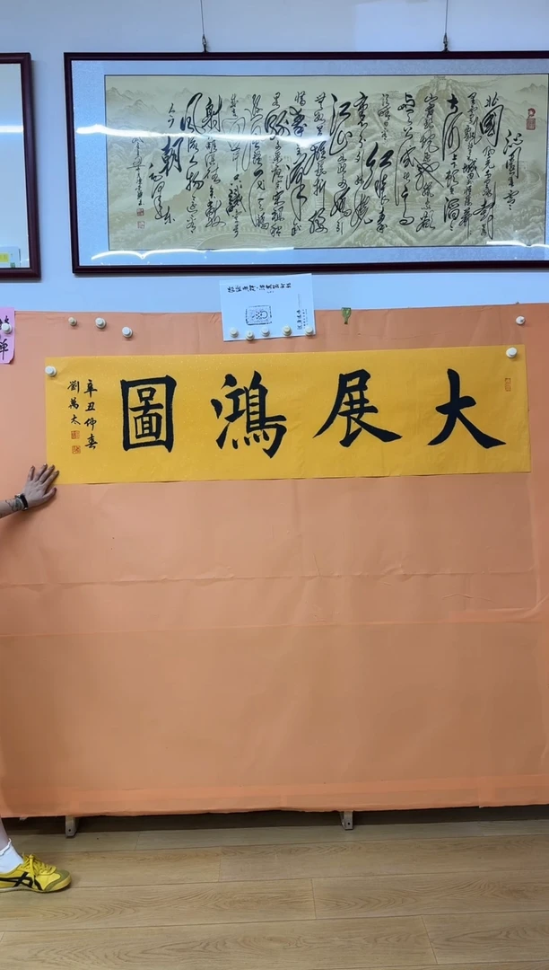 书法大展宏图作品