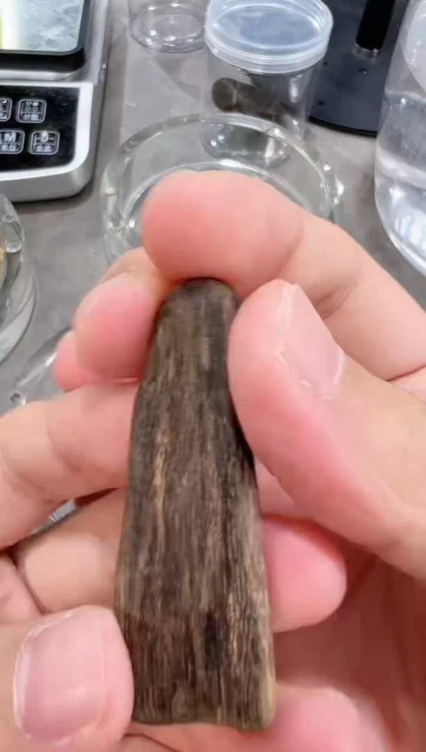 沉香吊坠文莱115号多样性发一