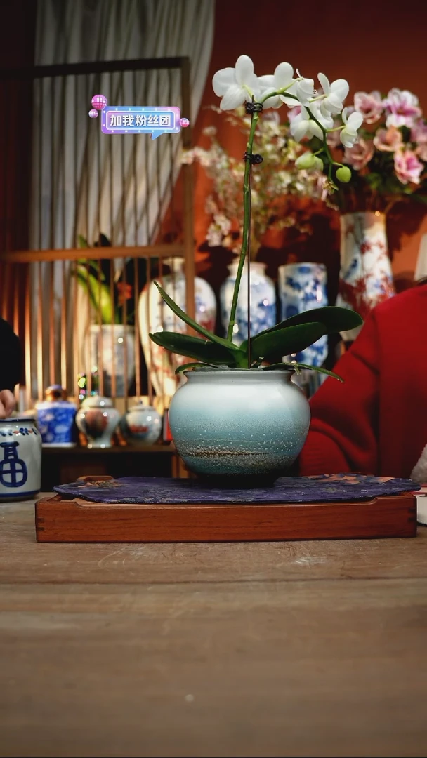 当代景德镇设计师釉下手绘陶瓷花瓶