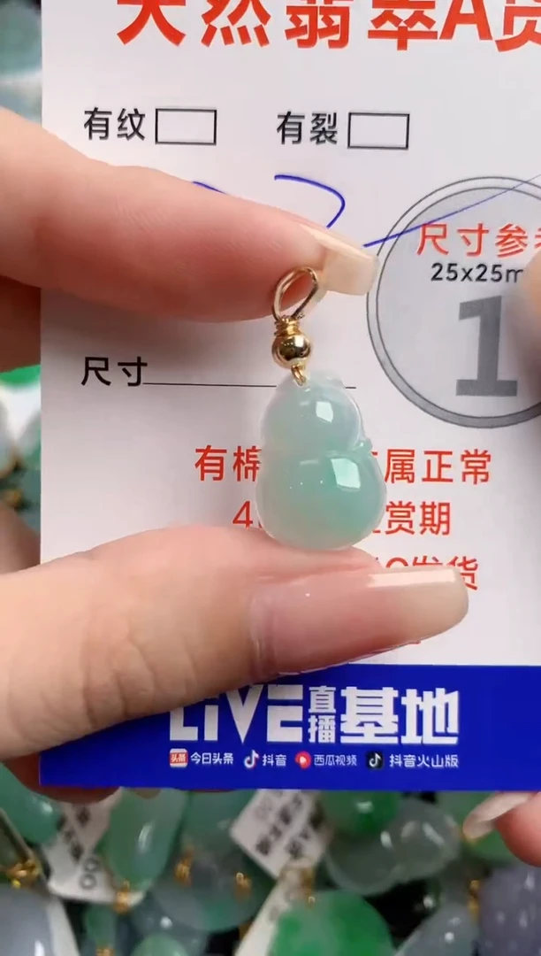翡翠未镶嵌颈饰23000370