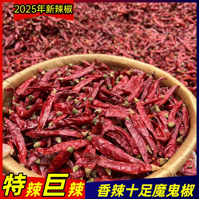 农家新晒红辣椒 魔鬼特辣巨辣辣椒 自然晒干红辣椒一斤包邮