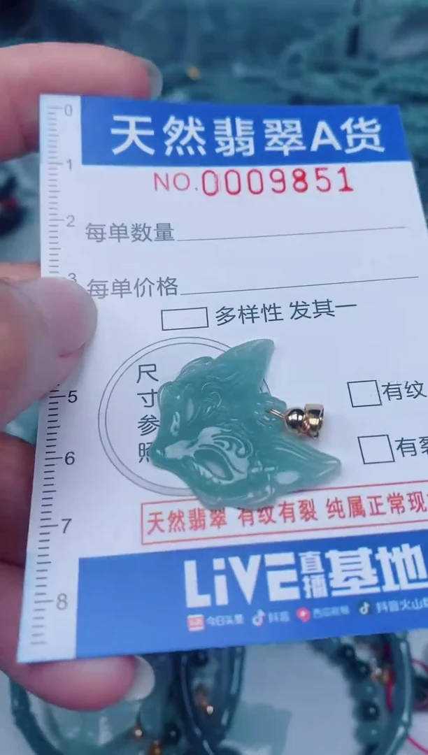 颈饰未镶嵌翡翠00009851