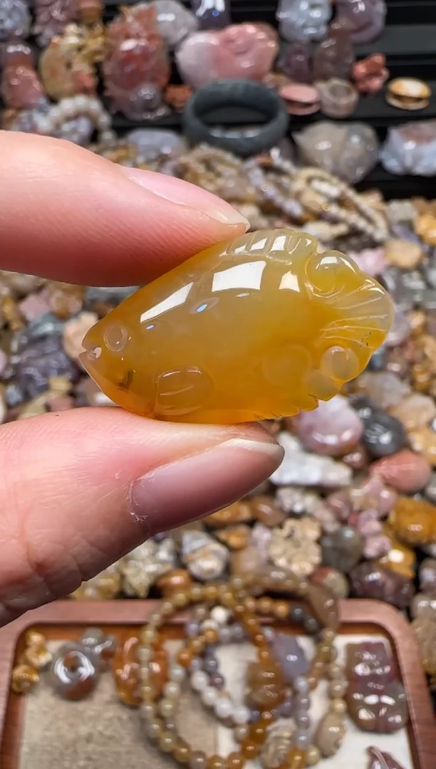 颈饰未镶嵌硅化珊瑚（珊瑚玉）573