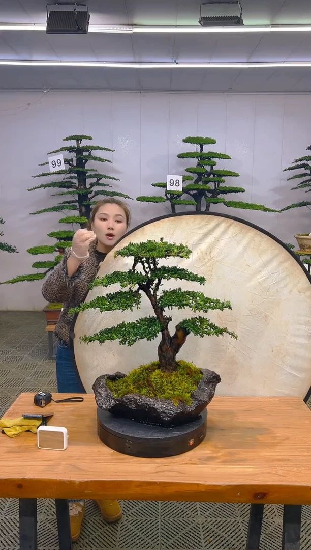 无花朵一物一拍一物一拍