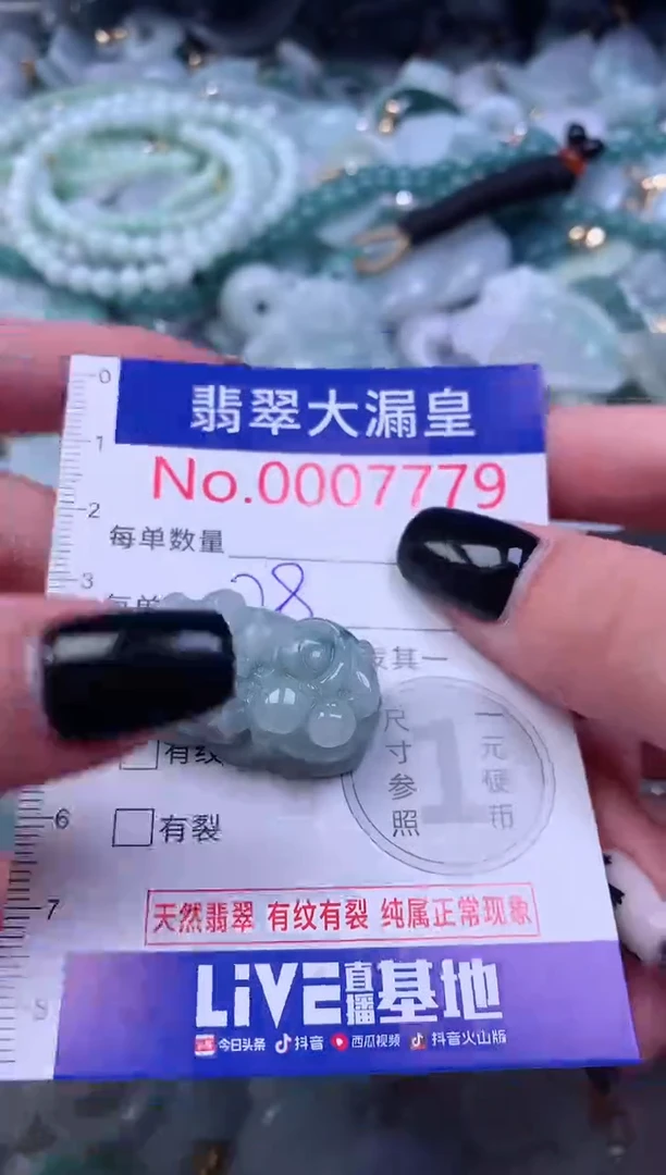 颈饰未镶嵌翡翠7779