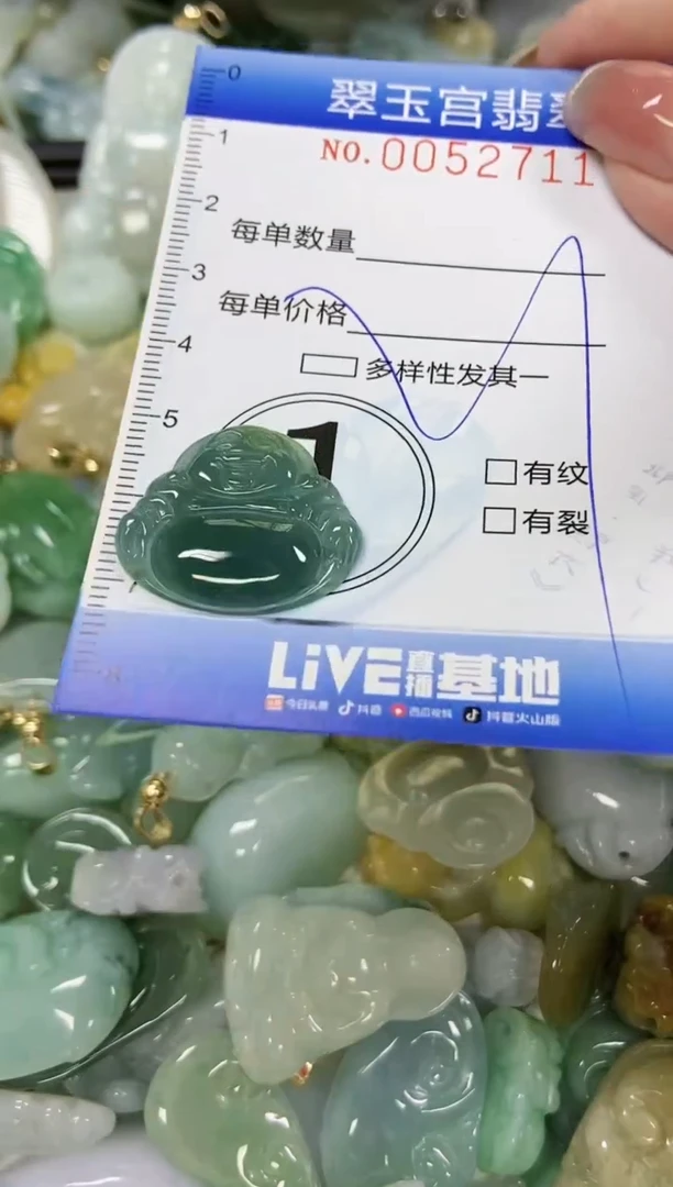 【闪购商品】翡翠颈饰未镶嵌闪购0052711