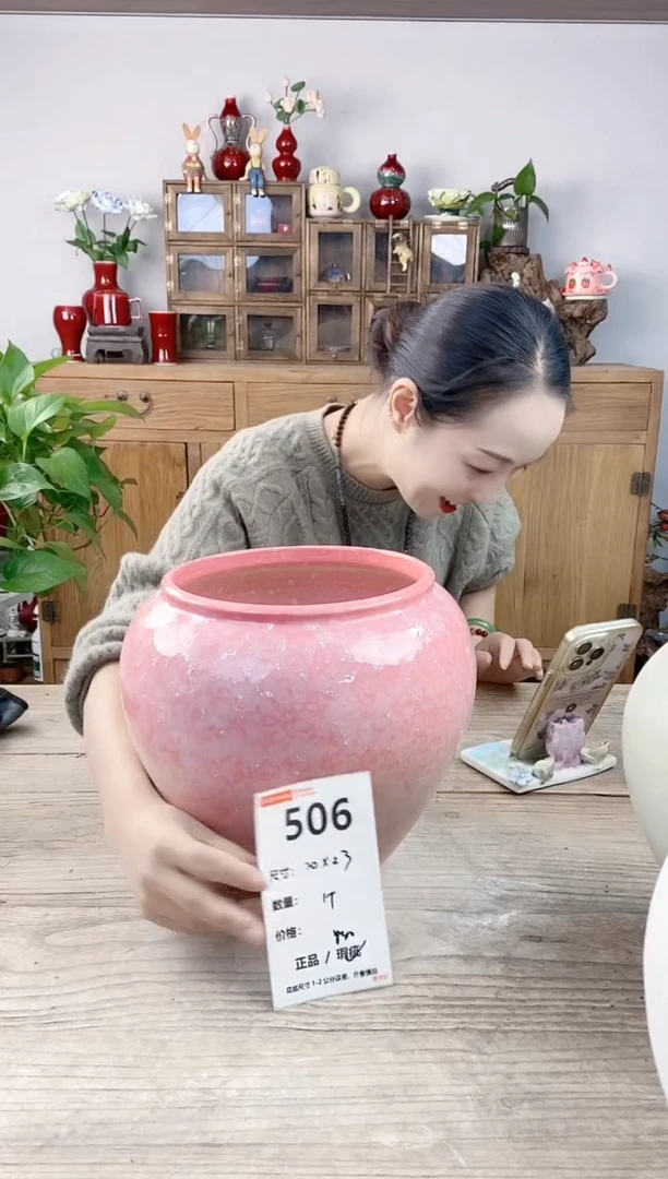 晴好园艺直播编号506