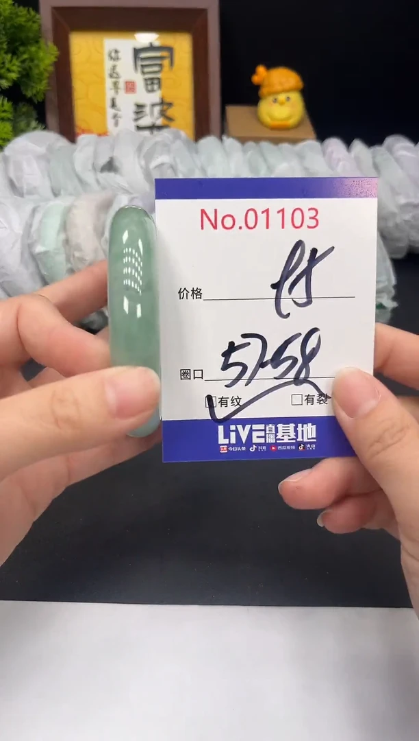 未镶嵌手镯翡翠唯**已拍下以实物为准1103