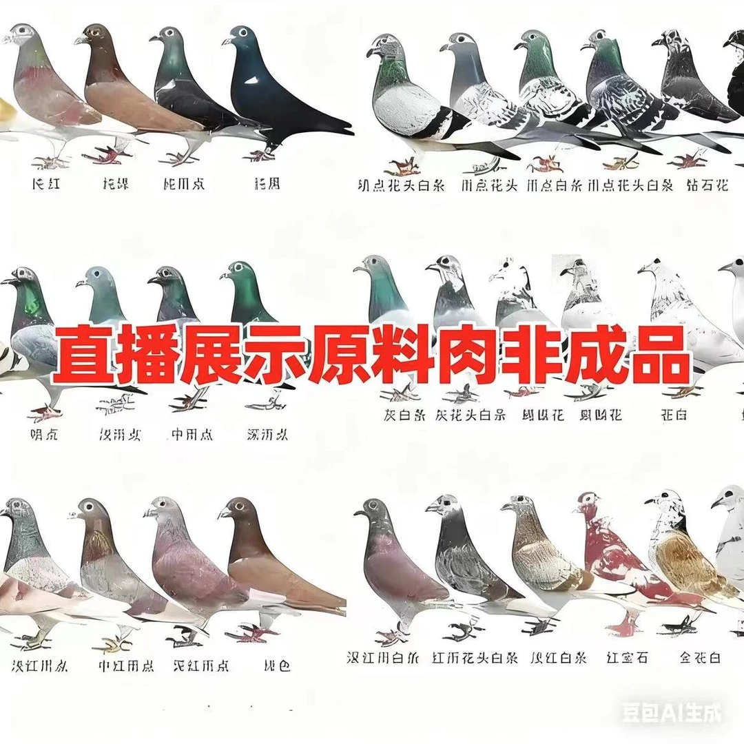 A2利锋专属直播展示原料非成品链接 -以直播间环号为准