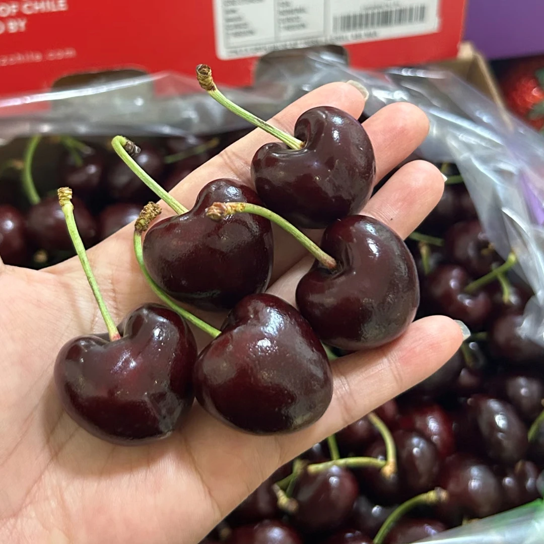 【顺丰5斤原箱黑车】空运智利进口车厘子桑提娜2-4J内附果径卡尺