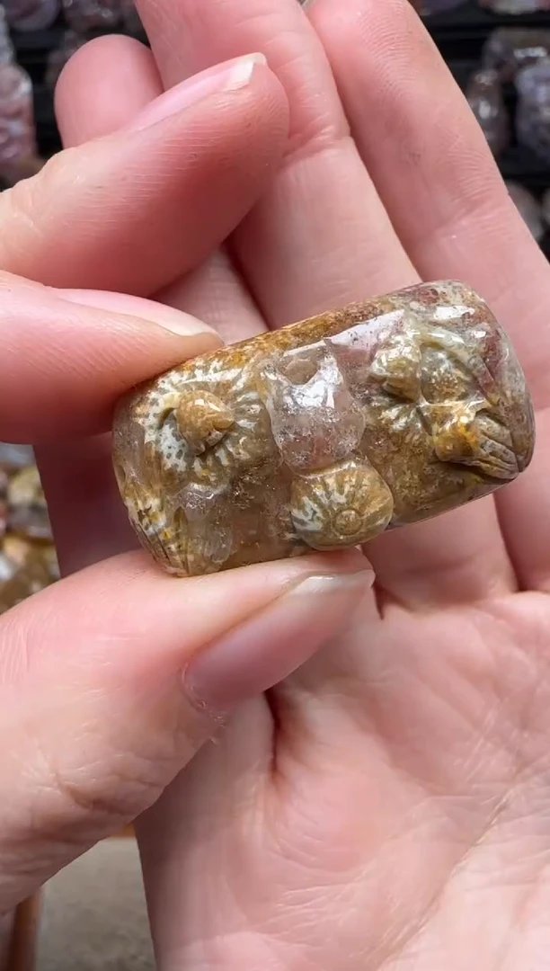 颈饰未镶嵌硅化珊瑚（珊瑚玉）324