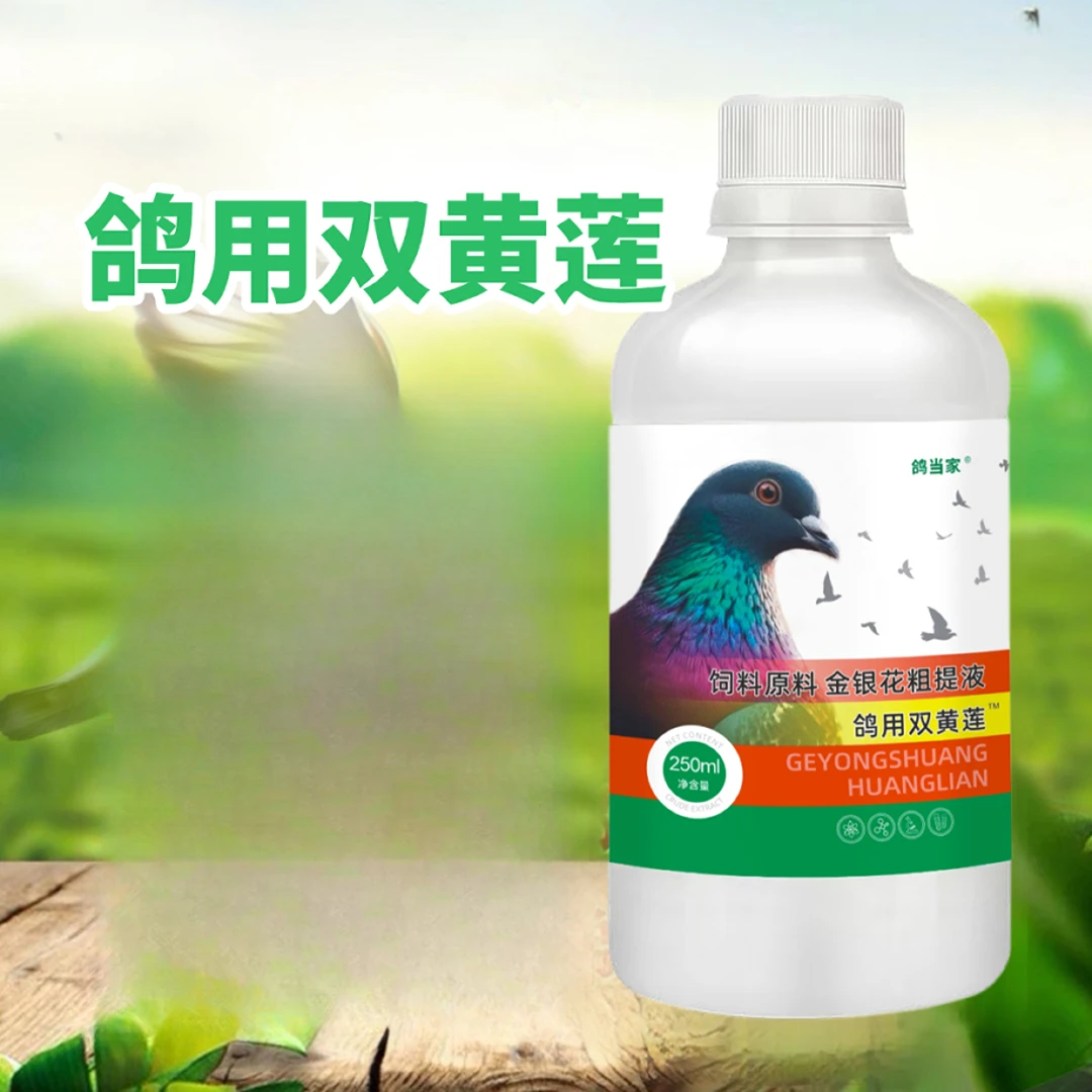 鸽当家鸽用双黄莲250ml（浓缩型）单眼口黄毛滴虫呼吸道肠道鸽用品