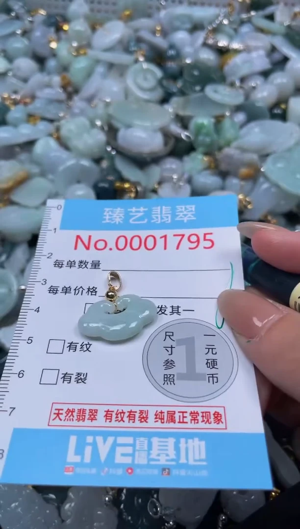 颈饰未镶嵌翡翠1795