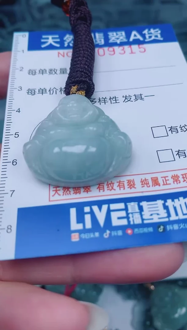 颈饰未镶嵌翡翠00009315