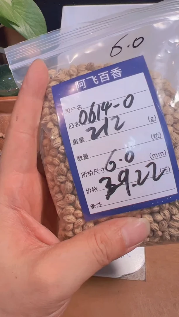 柏香籽/百香籽吊坠哈*29.22