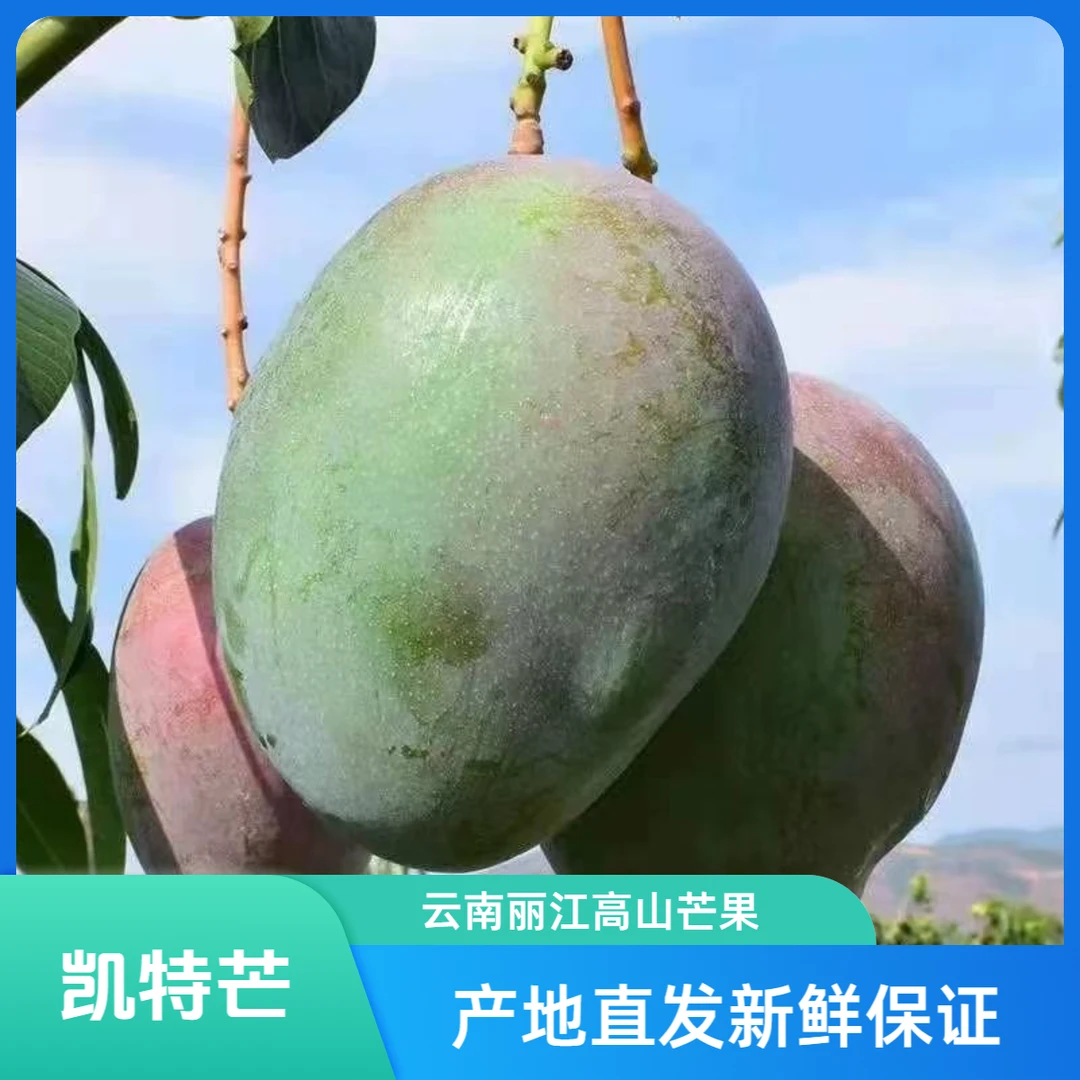 新鲜超甜特大果凯特芒澳芒果当季水果产地直发直播高山甜芒果